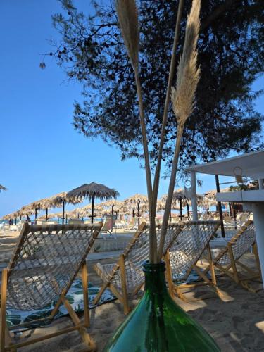 Silvi Hotel | Hotel Petit