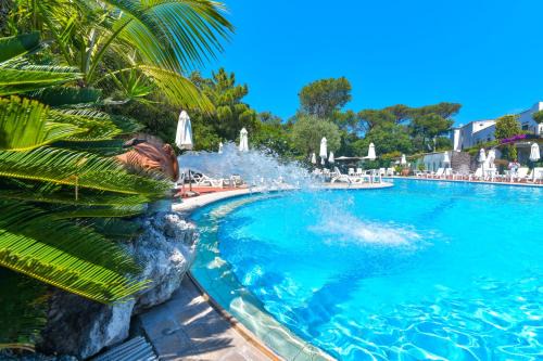 Ischia Porto Hotel | Hotel Pineta