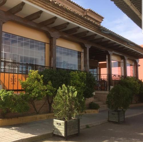 Almuradiel Hotel | Hotel-Restaurante Venta Tomas