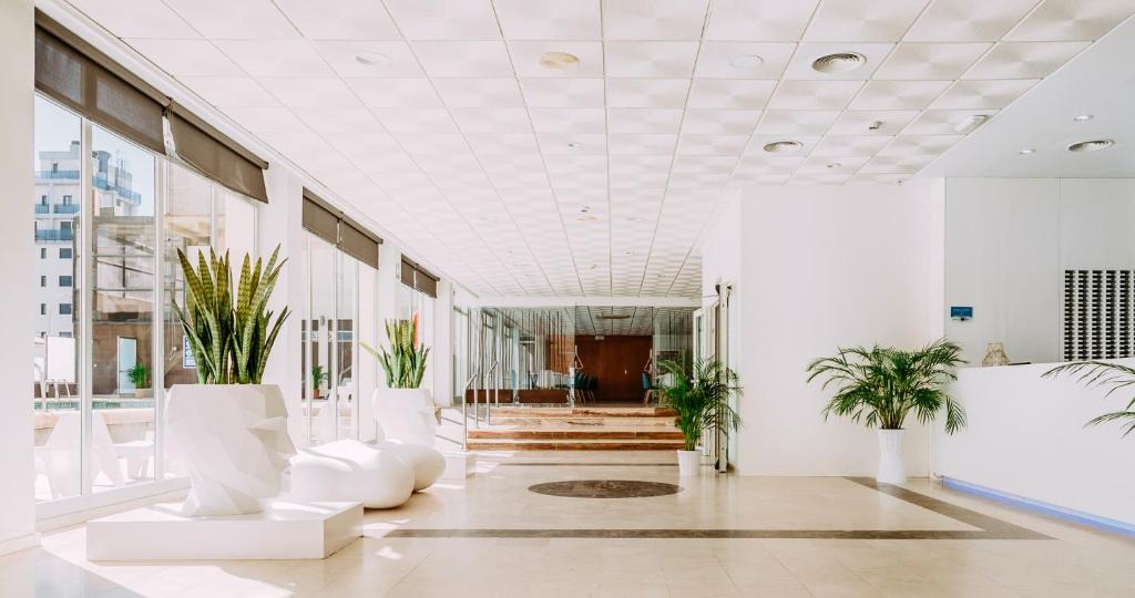 Grau i Platja Hotel | Hotel Safari
