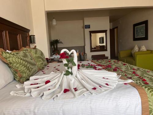 Centro Hotel | Hotel San Carlos Tequisquiapan