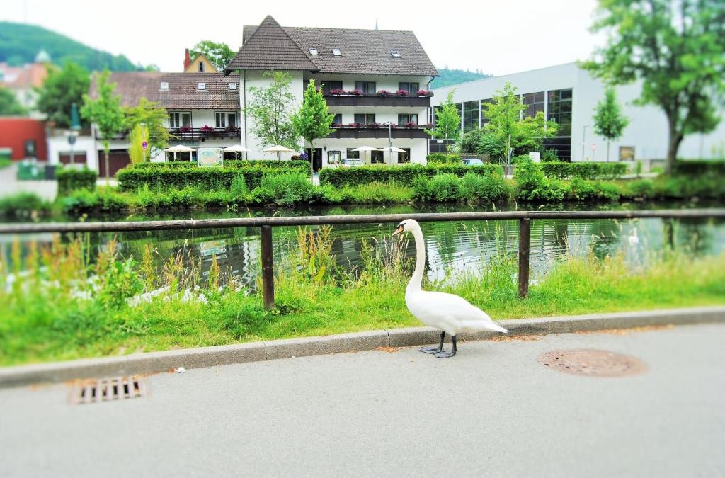 Nagold Hotel | Hotel Schiff Nagold