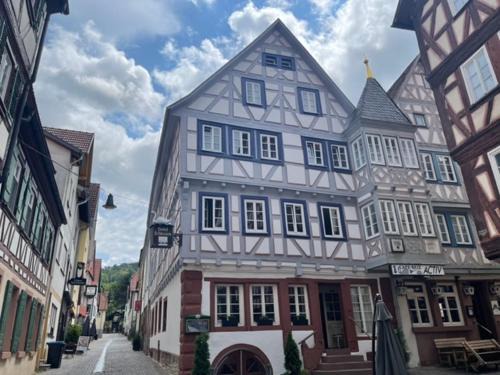 Mosbach Hotel | Hotel Schwanen