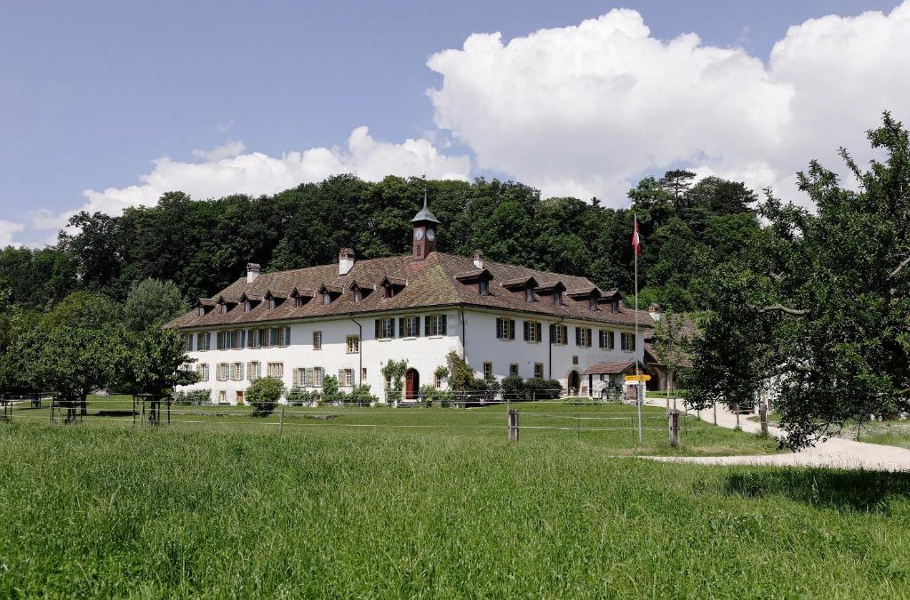 Erlach Hotel | Hotel St Petersinsel