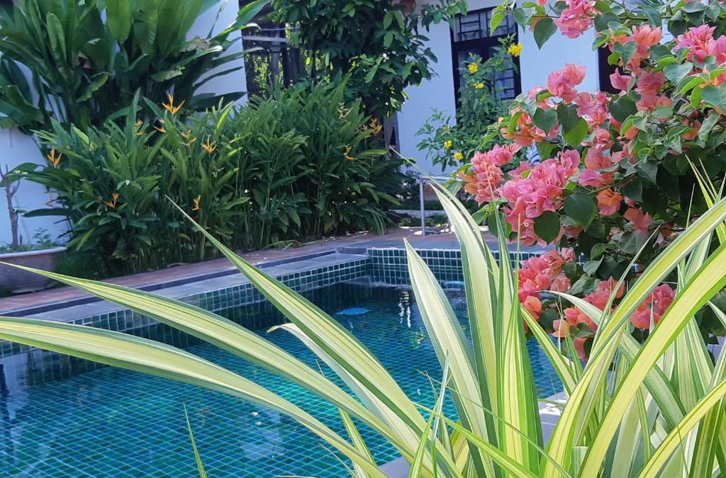 Tan Uyen Town Hotel | Hotel Thien Duong Xanh