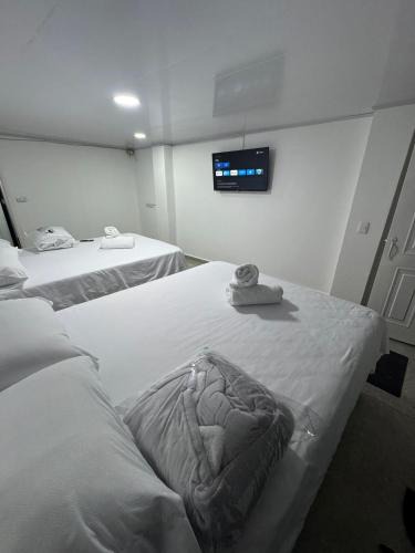 Sevilla Hotel | Hotel Valle del Café - Habitación 11 para Grupos de 4 Personas