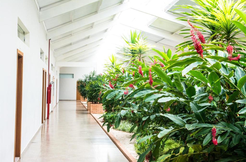 Penapolis Hotel | Hotel Vila Verde
