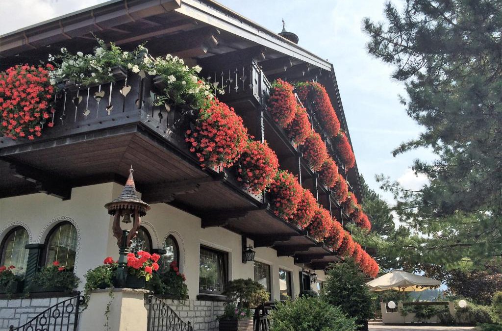 Folgaria Hotel | Hotel Villa Wilma