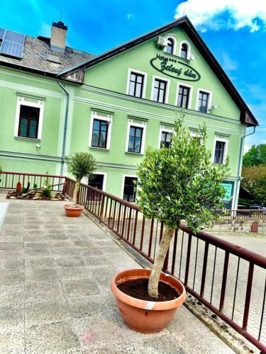 Dolni Poustevna Hotel | Hotel Zelený dům