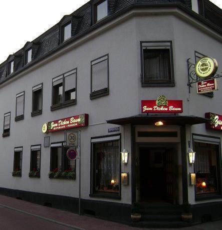 Mayen House | Hotel zum dicken Baum