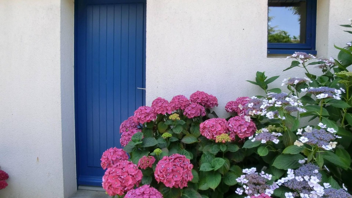 Saint-Gildas-de-Rhuys House | house 250 m harbor and beaches