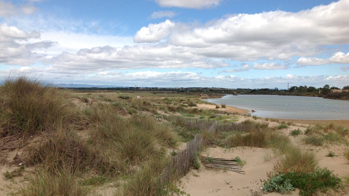 Portiragnes House | House 4 ch. pool, sea, canal du midi and nature protected
