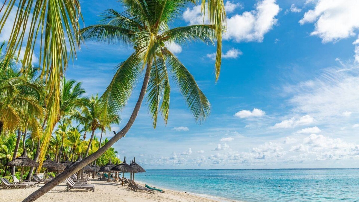 Port Louis House | House, 6+ persons. White-Sand Beach - Grand Bay 20mins. Special Offer Discount