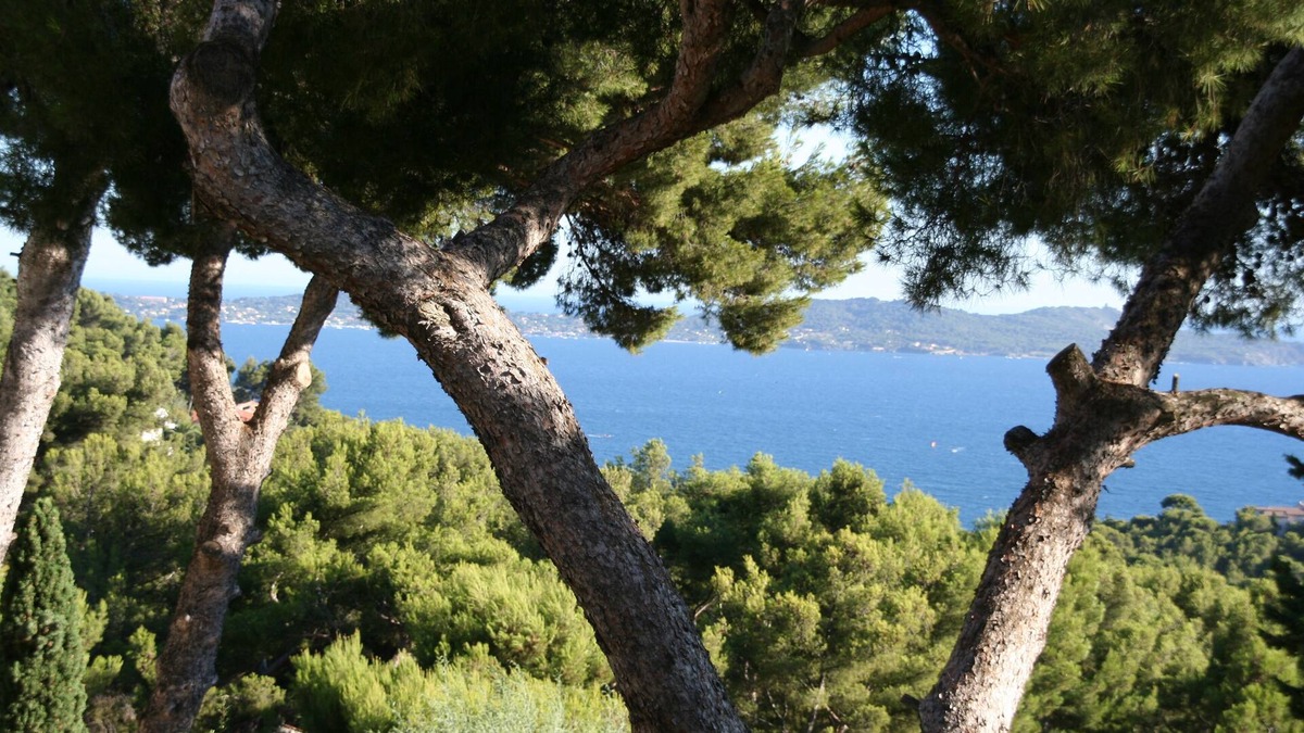 Carqueiranne House | House 8 people, beautiful view + pool Mediterranean