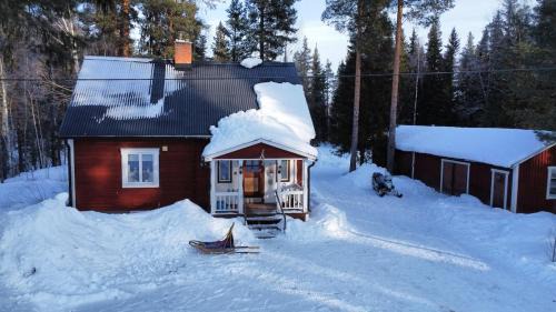 Blattnicksele House | House Arctic Wolf