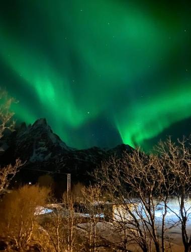 Ballstad House | House by the sea, Ballstad Lofoten