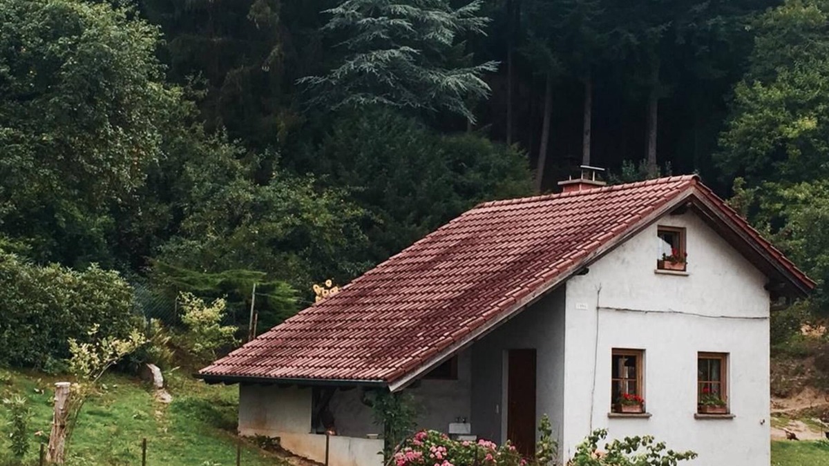 Erdesbach Apartment | House Erdesbacher Eselhof - cottage, shower, toilet, non-smoking