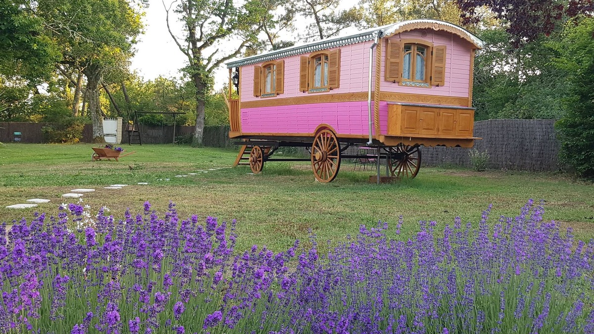 Bussac-Foret Bed & Breakfast | House