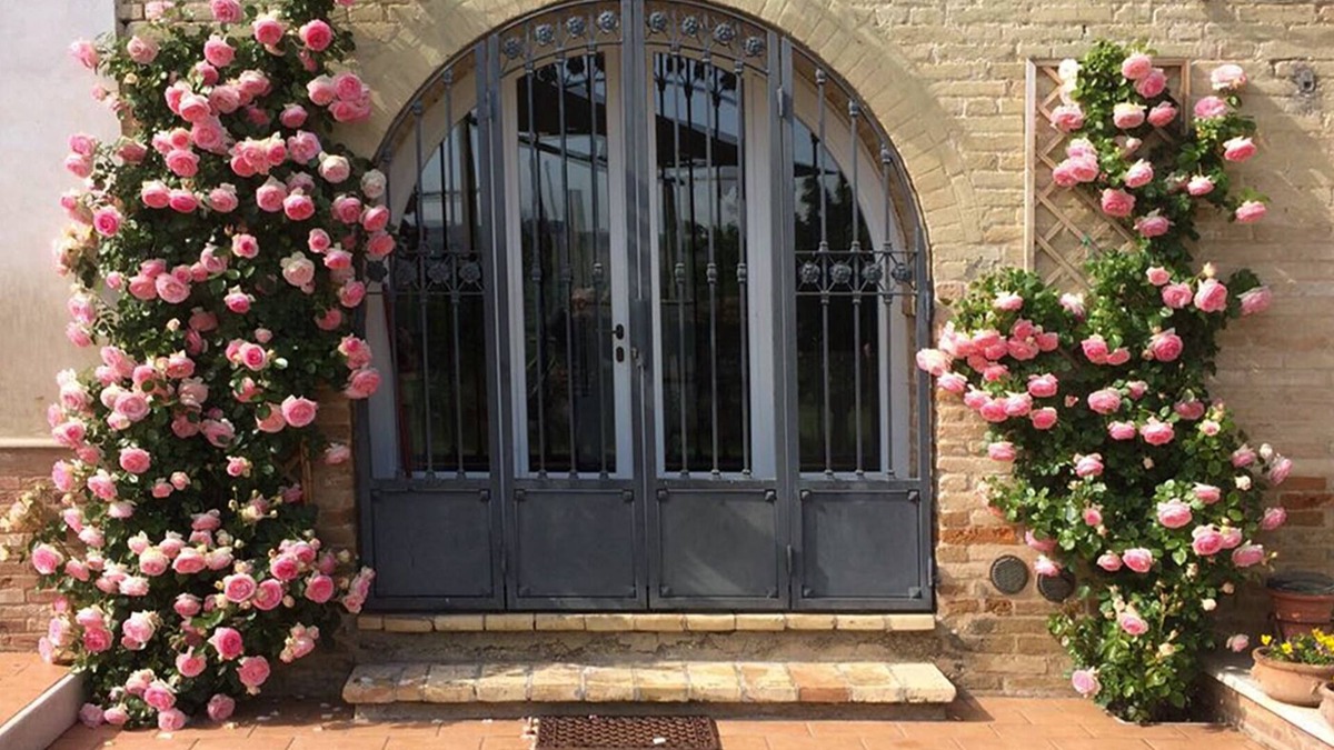 Monterubbiano House | House immersed in the Marche countryside