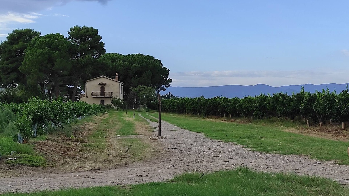 Mirto Cottage | House in a romantic citrus grove, private access to the beach, relax and tranquility!