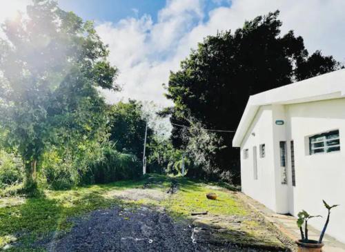 Le Morne-Rouge House | House in nature, between land and sea