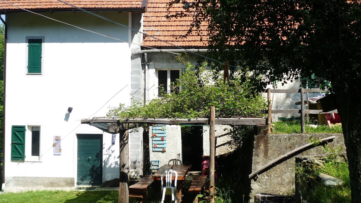 Urbe House | House in the Forest Purple (CITRA Code 009063-LT-0016)