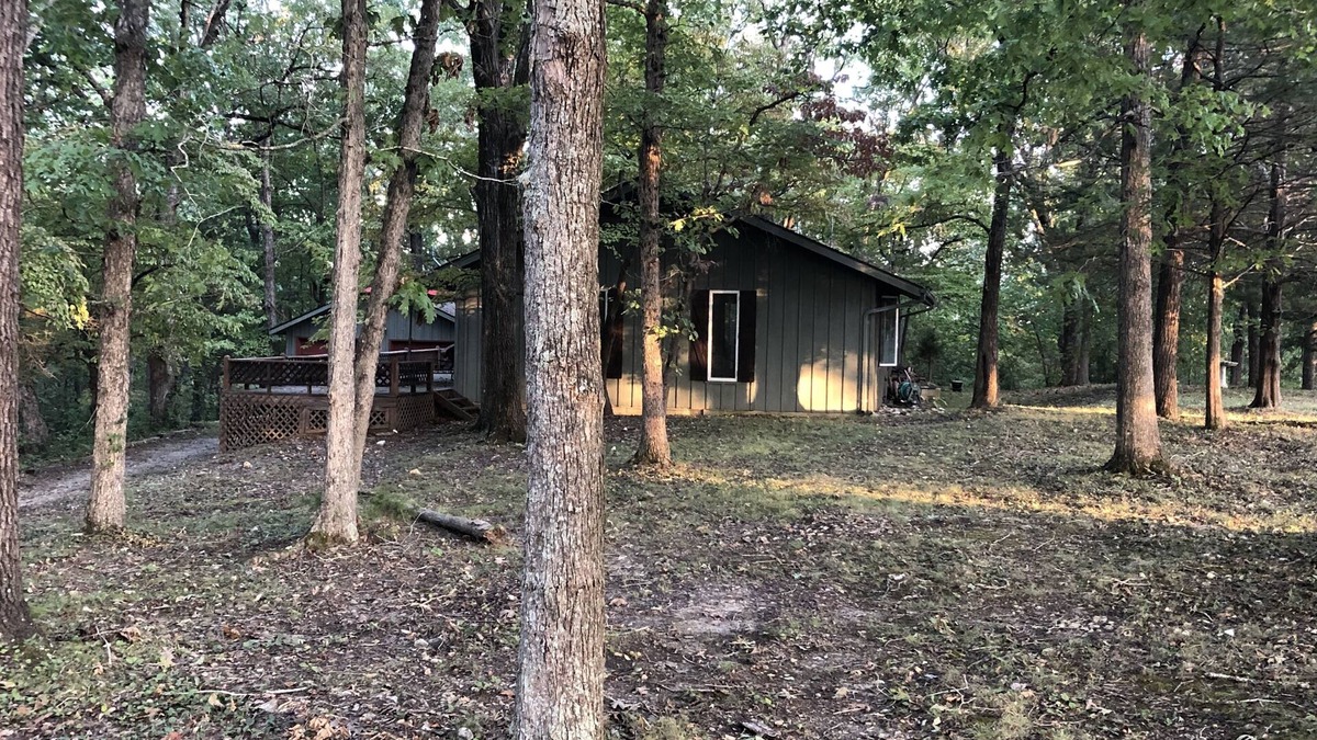 Cassville House | House in the Trees