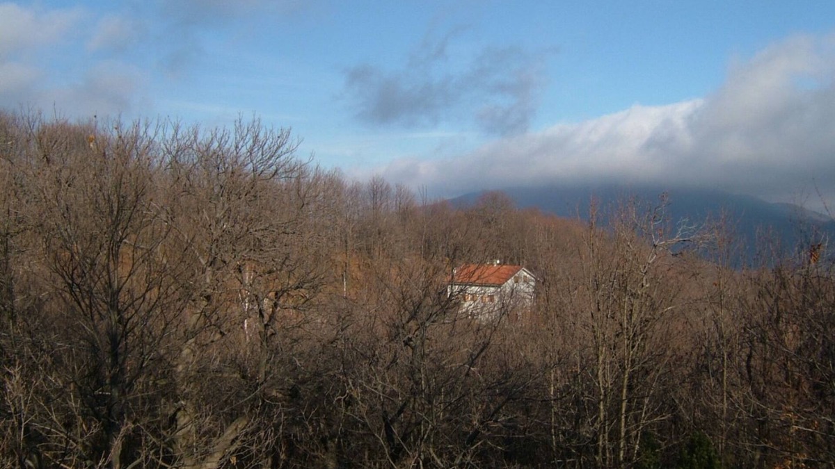 Osiglia House | House in the woods Osiglia, Liguria