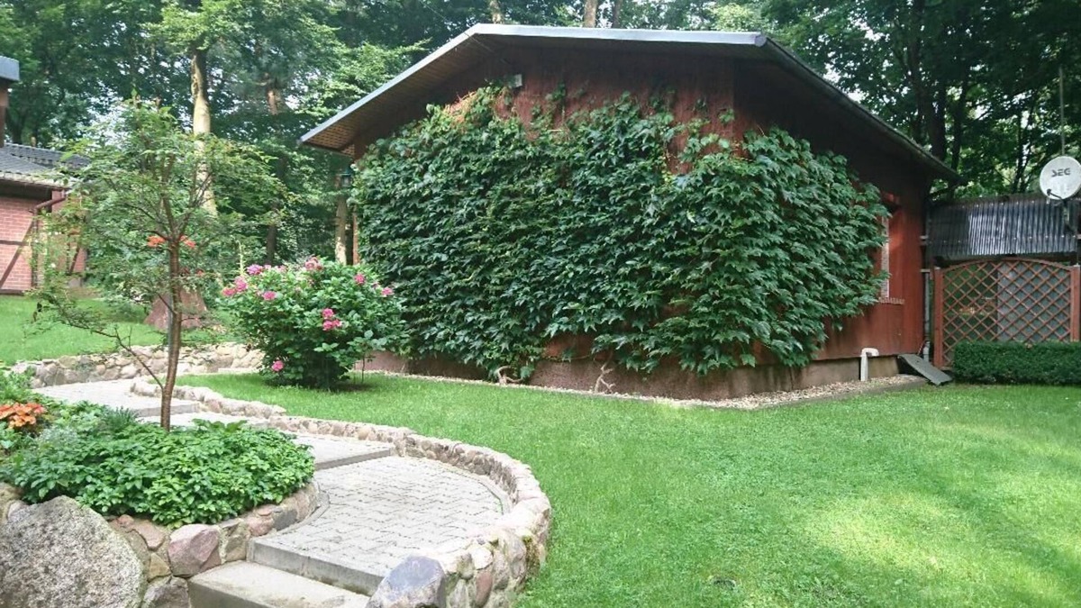 Zichtau House | House in the woods, own property