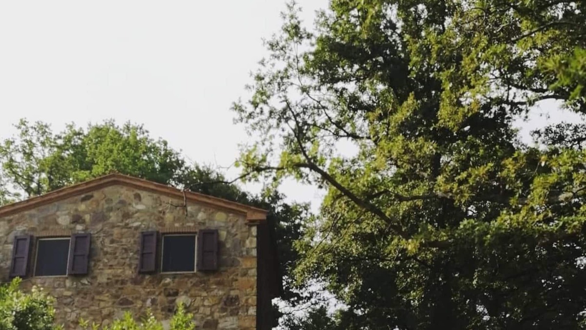 Arcidosso House | House in the woods, southern Tuscany, Stribugliano