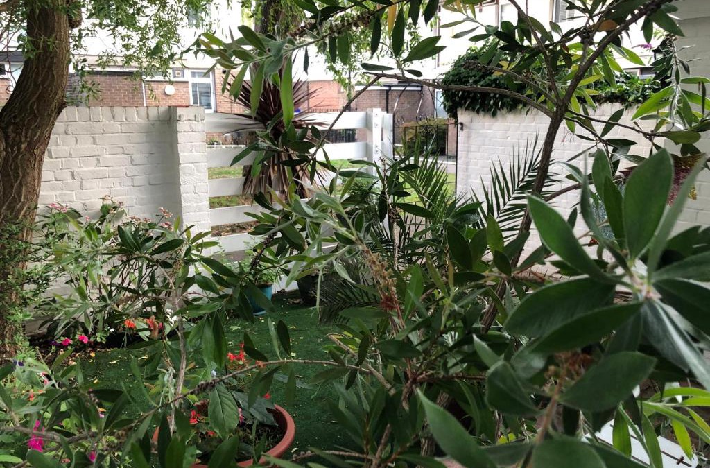 Dulwich Bed & Breakfast | House o' Books