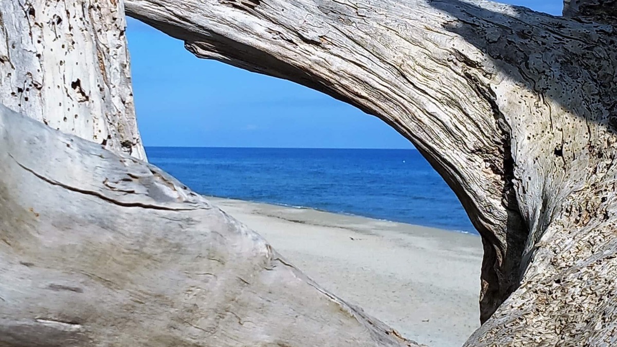 Cervione House | House of 71M2 Any comfort T3, large quiet terrace 500m from the beach