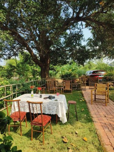 Baihar House | House of Aranya