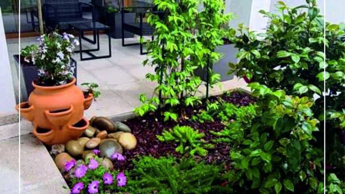 Monserrate Apartment | House of Camellias