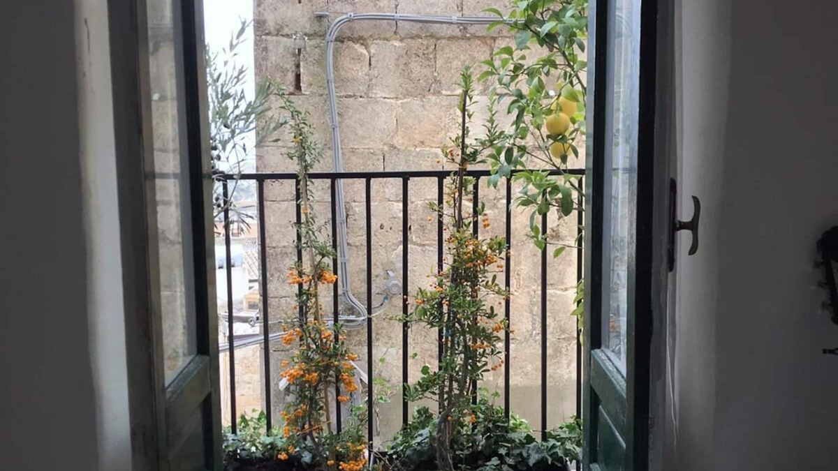 Mussomeli House | House of Solorzano