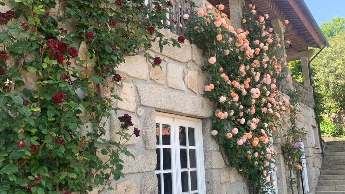 Santo Tirso Cottage | House of the three boys