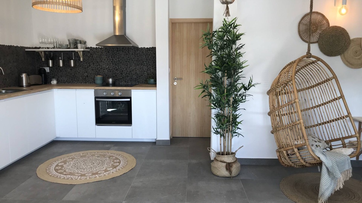 Praia de Mira Apartment | House on the river: Bico das flores 1