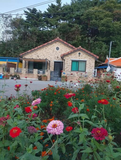 Goseong-gun House | House Story