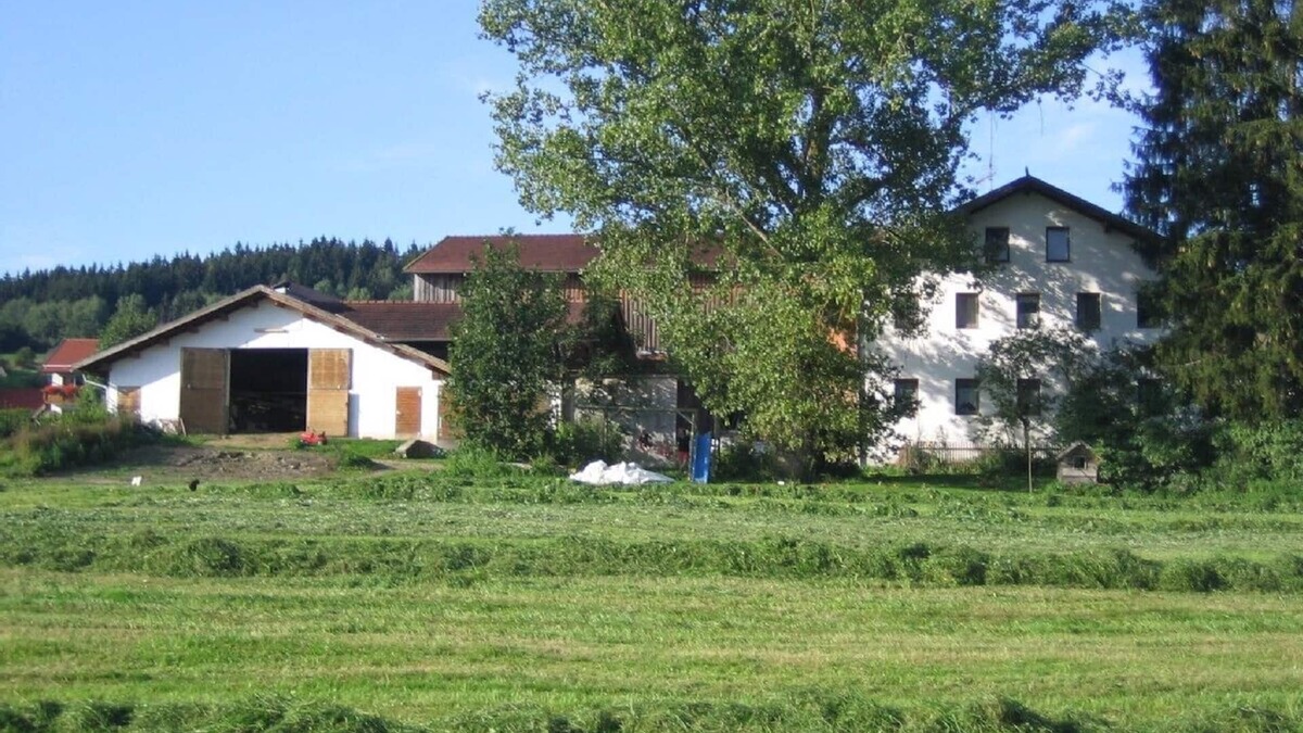 Kirchberg i.Wald House | House to relax, plenty of room to romp and play, Pets welcome