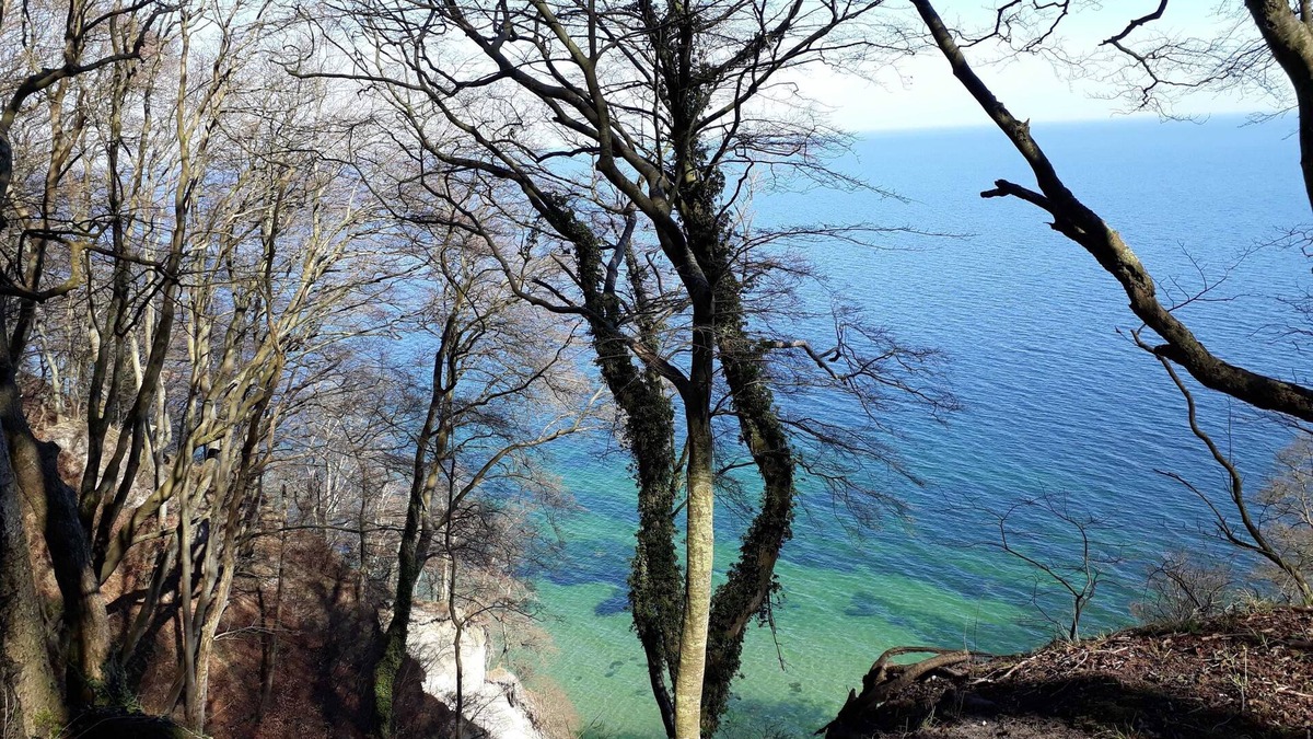 Sassnitz Apartment | House to the Pirate Gorge