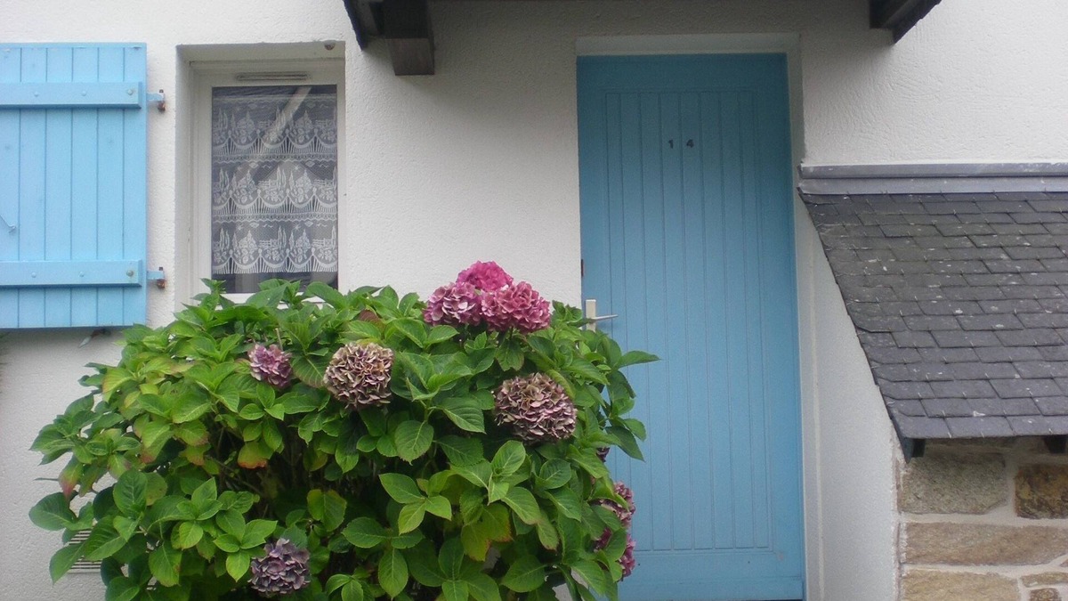 La Trinite-sur-Mer House | House/Villa - Trinite sur mer