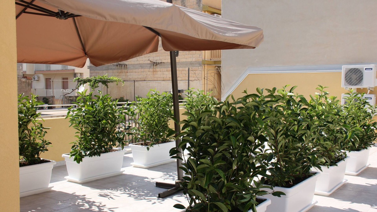 Pozzallo House | house "Viola" in single dwelling