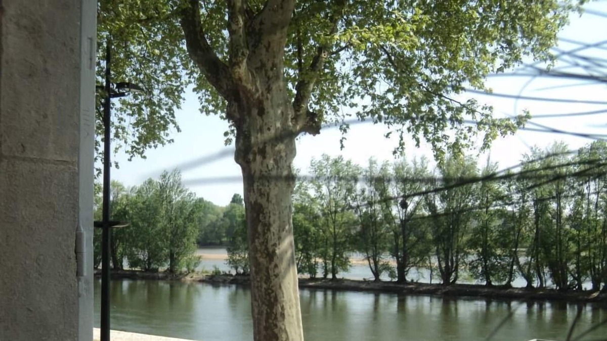 Bourgogne House | House with character overlooking the Loire with garden