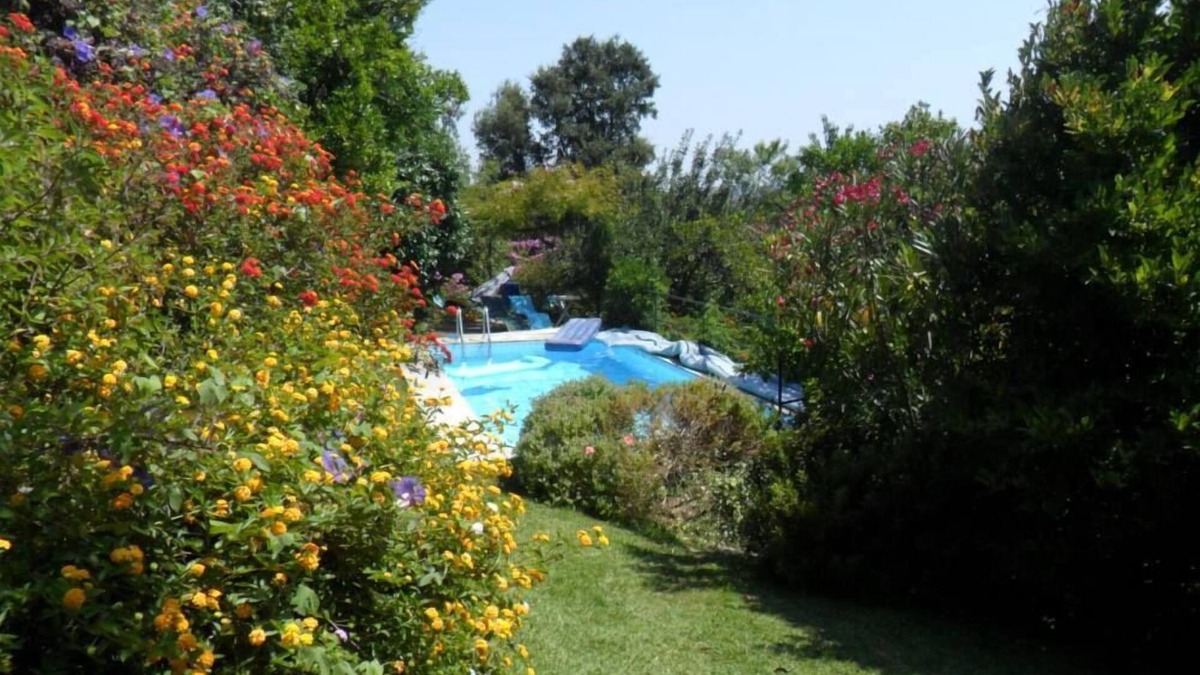 Sever do Vouga House | House with garden