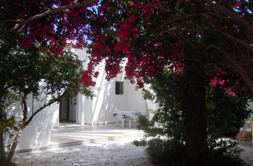 Mahdia House | House with Garden Wala