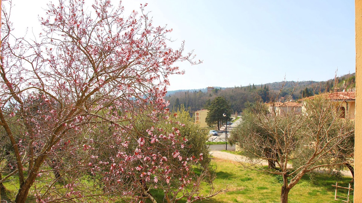 Monteverdi Marittimo Apartment | HOUSE WITH GARDEN ON THE TUSCAN HILLS about 20 minutes from the sea WI-FI FREE