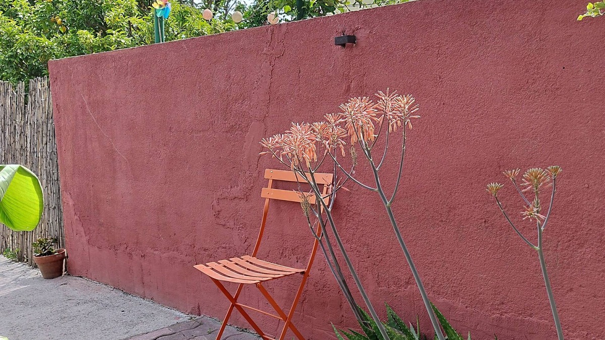 Bas-Vernet House | House with large garden in city center, cultural district, 15 minutes from the beach.