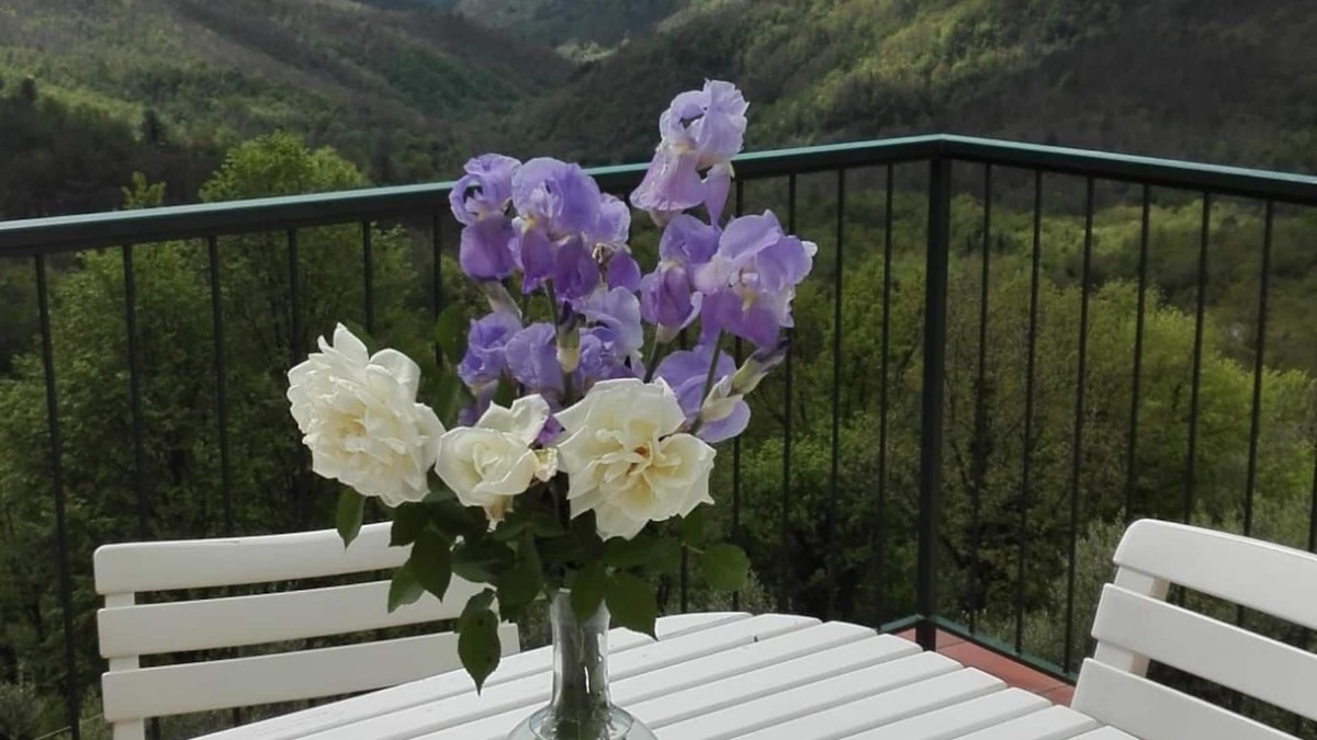 Zignago Apartment | House with wonderful panoramic terrace overlooking the valley. All inclusive!