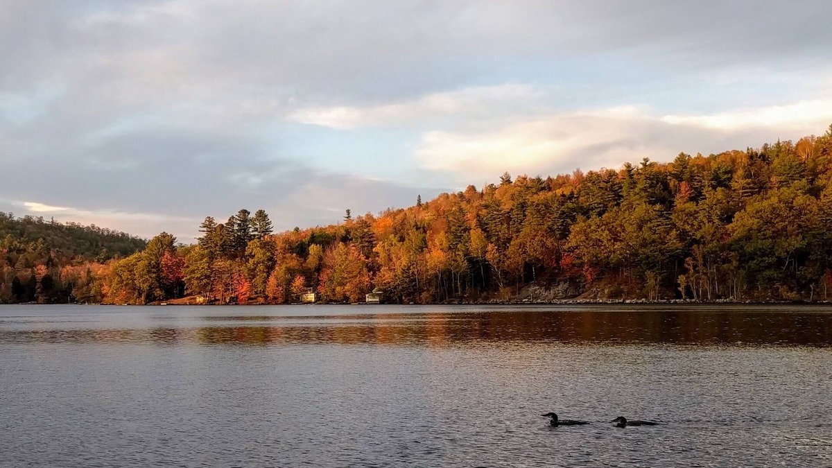 Hanover Cabin | Howard Pond - Family-Friendly And Pet-Friendly Quiet Home
