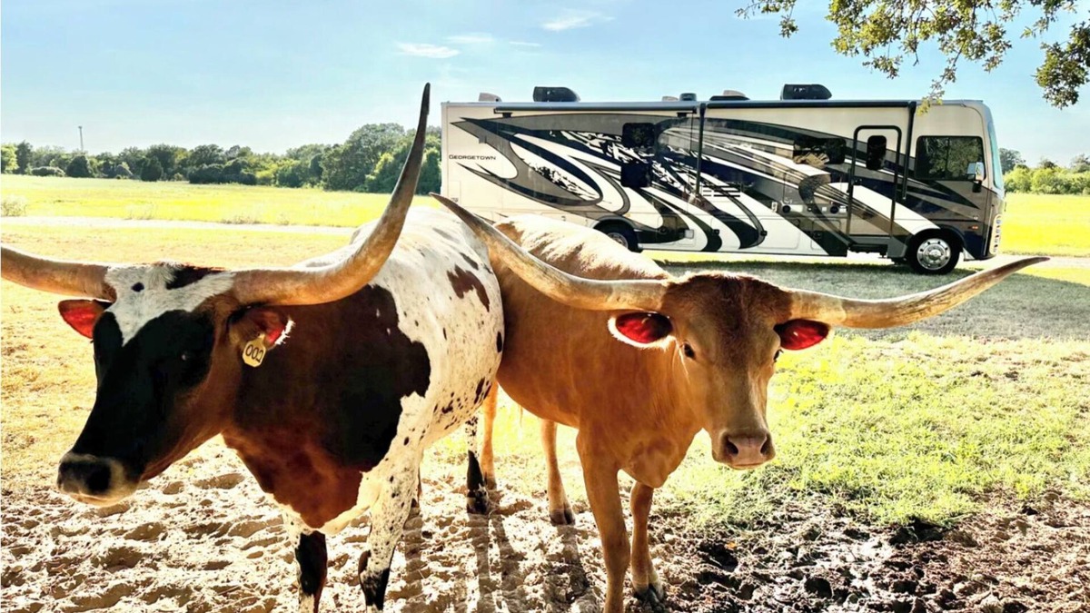 Elgin House | Howdy RV - 2023 Luxury Motor Coach - Sleeps 10